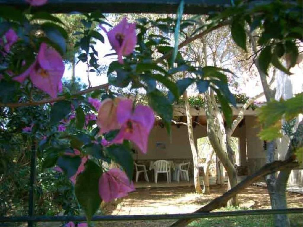 Visforyou Apartments Esterno foto